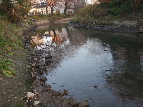 近所の川